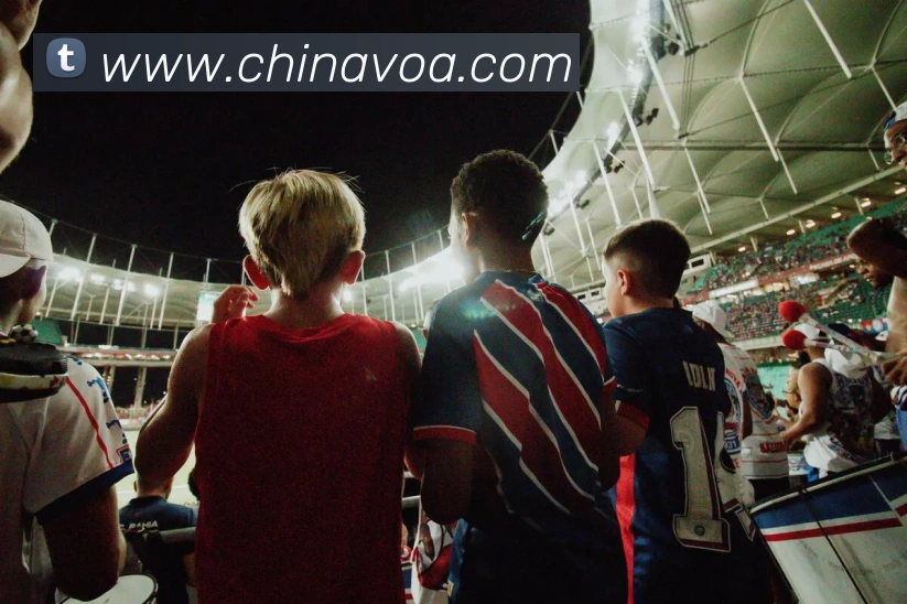 App Interface Preview